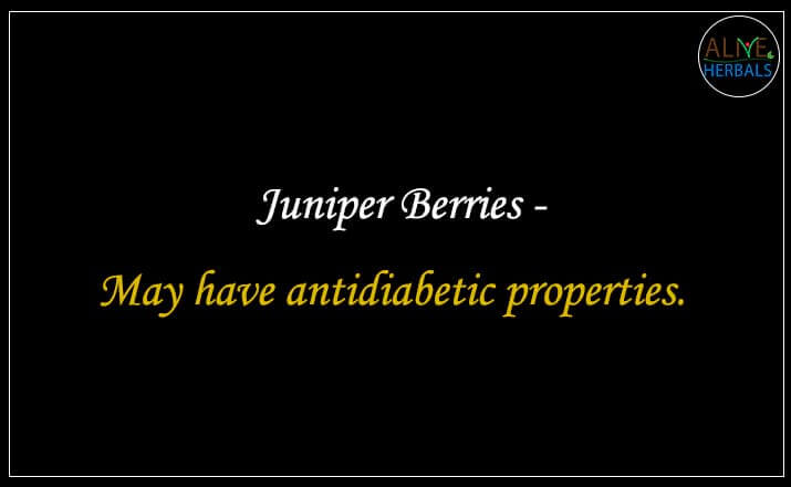 Juniper Berries - Buy from the natural health food store