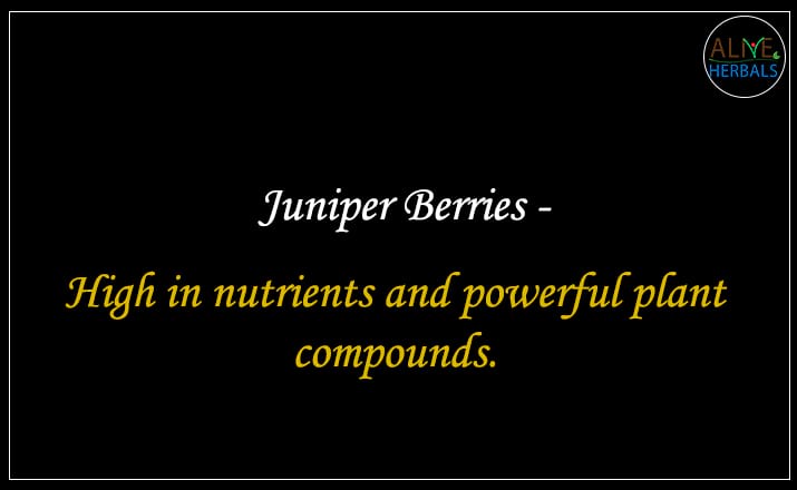 Juniper Berries - Buy from the natural herb store