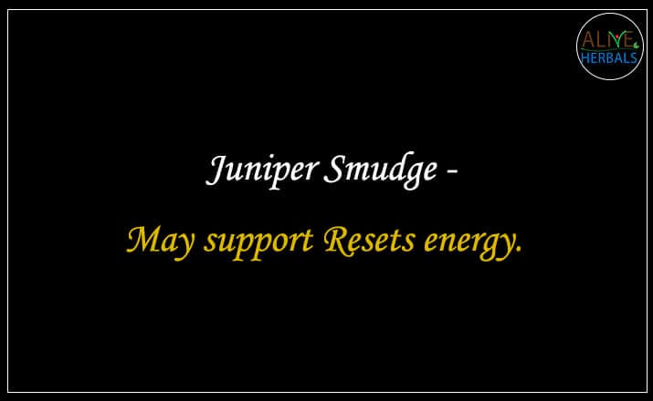 Juniper Smudge - Buy from the online herbal store