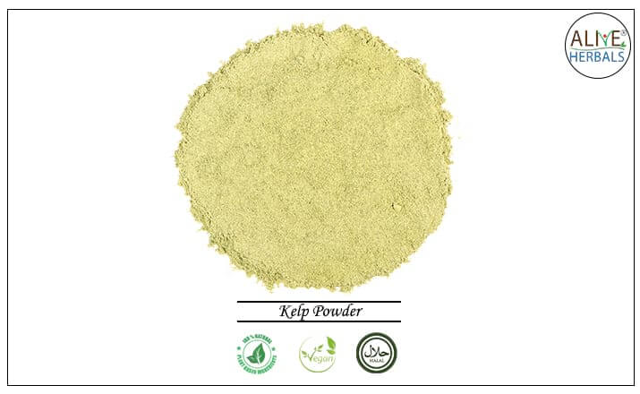 Kelp Powder - Buy from the health food store