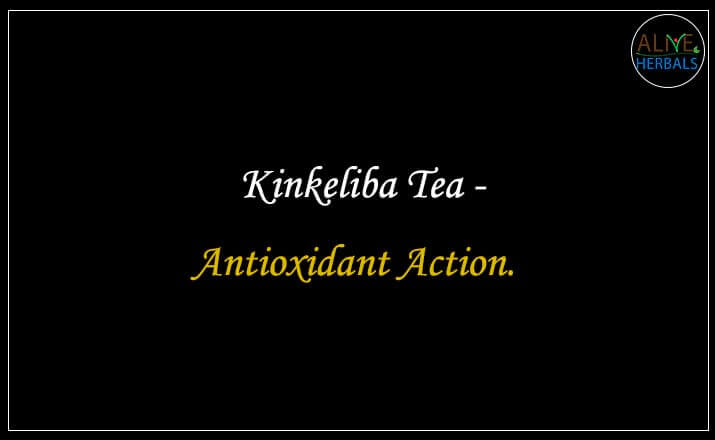 Kinkeliba Tea - Buy from the natural health food store