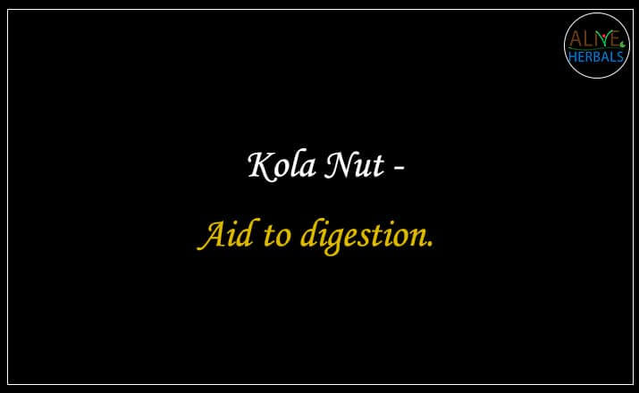 Kola Nut - Buy from the online herbal store