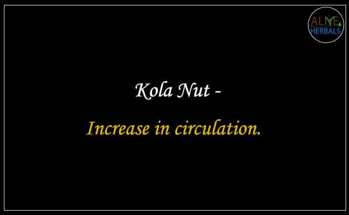 Kola Nut - Buy from the natural health food store