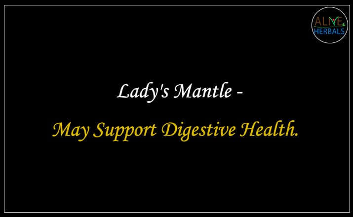 Lady's Mantle - Buy from the natural herb store