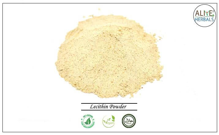 Lecithin Powder - Buy from the health food store