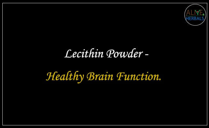 Lecithin Powder - Buy from the natural health food store