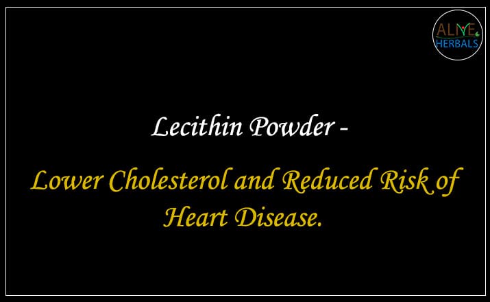 Lecithin Powder - Buy from the natural herb store