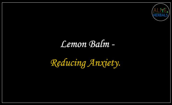 Lemon Balm - Buy from the natural herb store