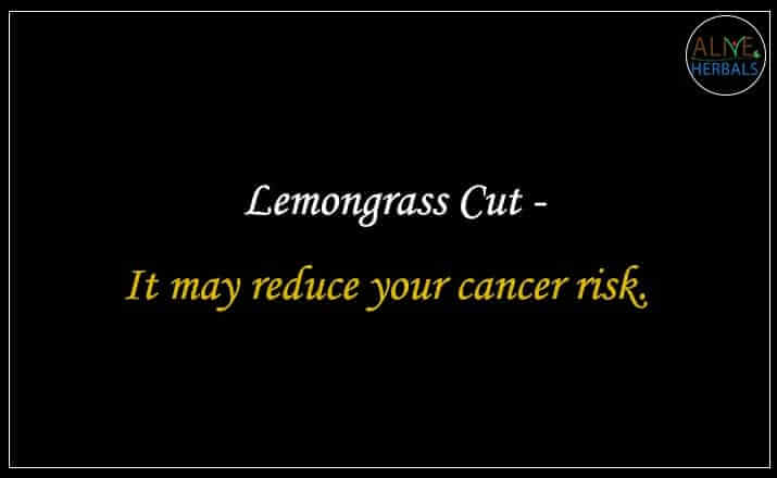 Lemongrass Cut - Buy from the natural health food store
