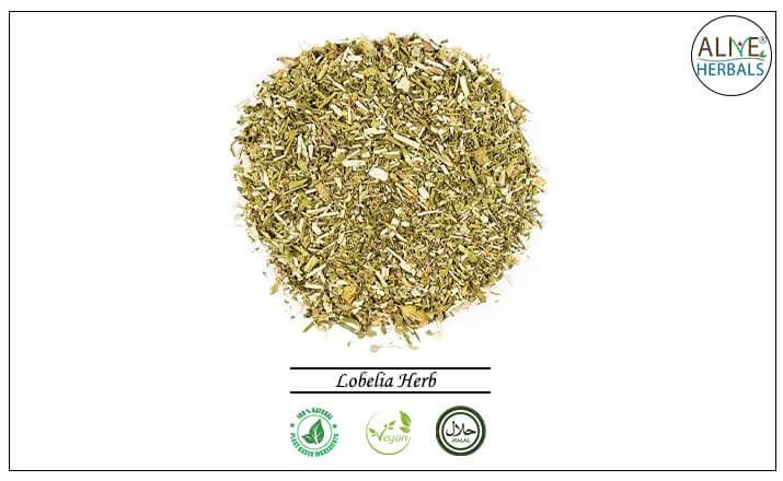 Lobelia Herb - Buy from the health food store