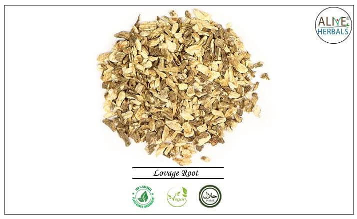 Lovage Root - Buy from the health food store