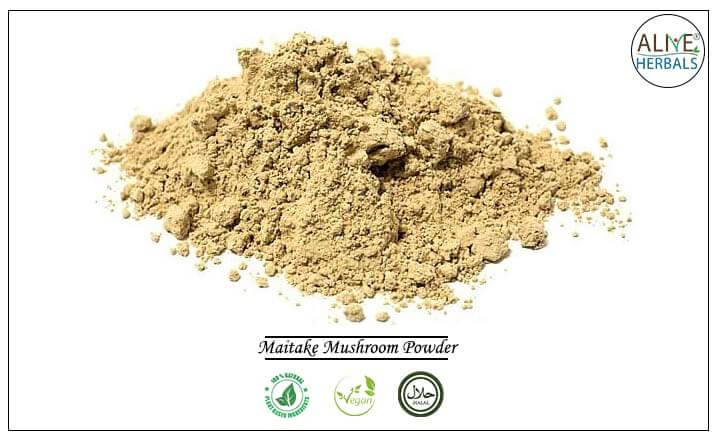 Maitake Mushroom Powder - Buy from the health food store