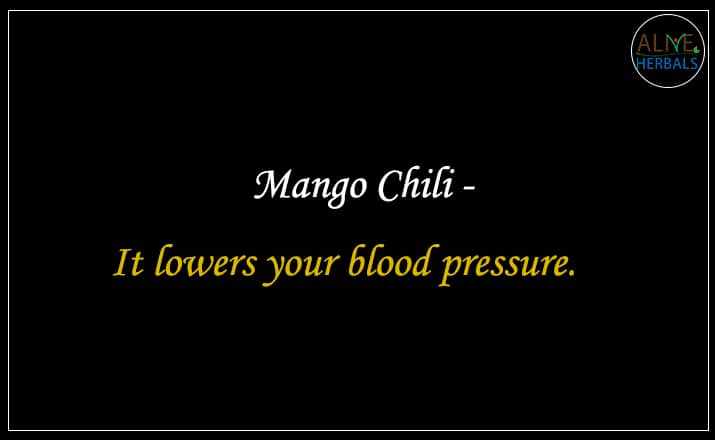 Mango Chili - buy best dried fruits online store.