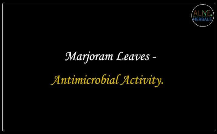 Marjoram Leaves - Buy from the natural health food store