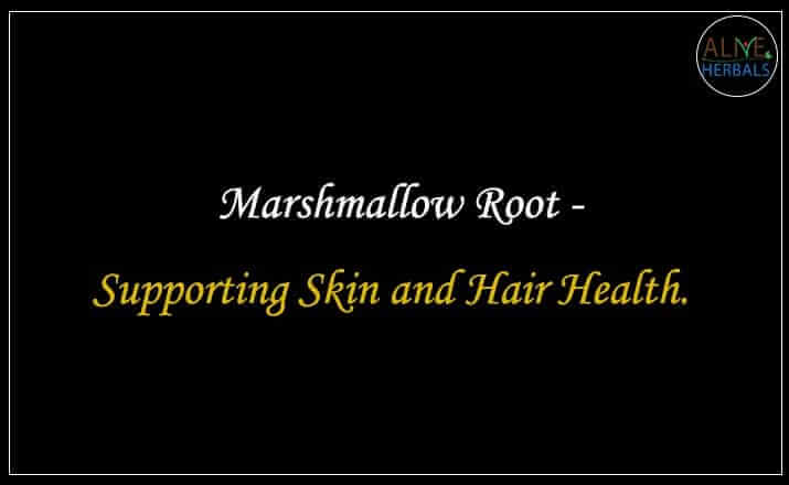 Marshmallow Root - Buy from the online herbal store