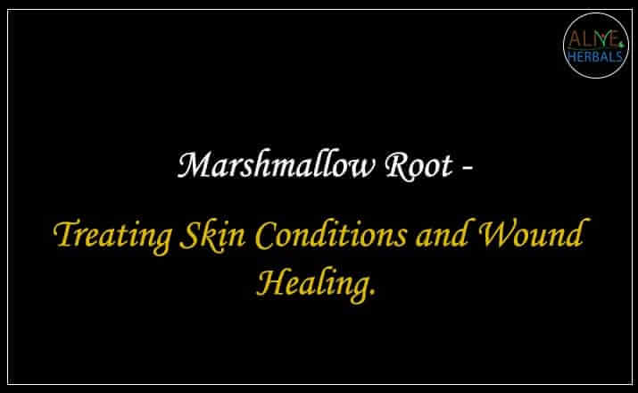 Marshmallow Root - Buy from the natural health food store