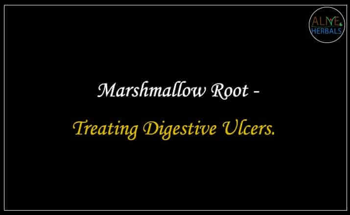 Marshmallow Root - Buy from the natural herb store