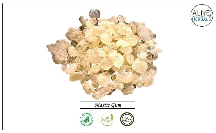 Mastic Gum - Buy from the health food store