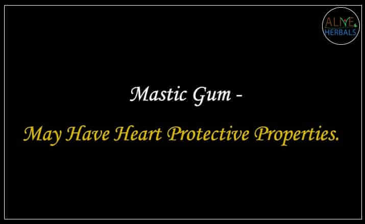 Mastic Gum - Buy from the online herbal store