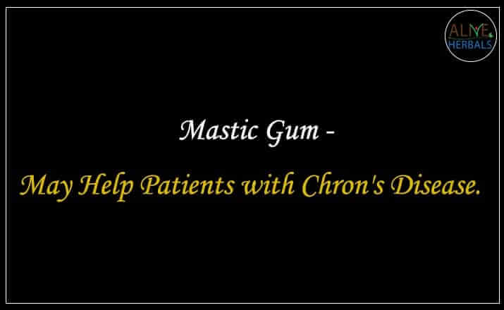 Mastic Gum - Buy from the natural health food store