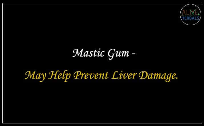 Mastic Gum - Buy from the natural herb store