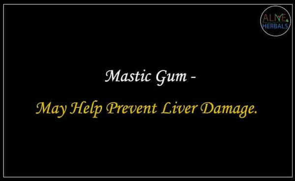 Best Mastic Gum - Buy Mastic Gum at the Natural Herb Store.