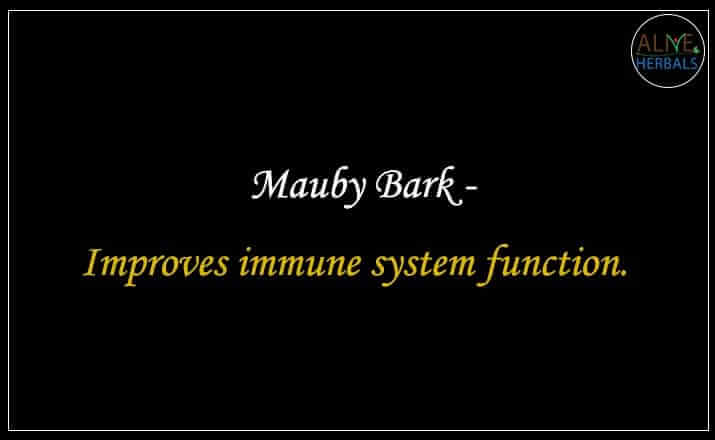 Mauby Bark - Buy from the online herbal store