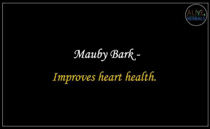 Mauby Bark - Buy from the natural health food store