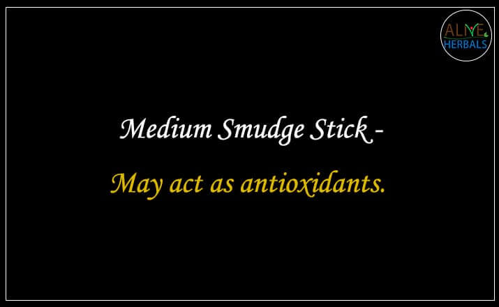 White Sage Smudge Stick - Buy from the natural health food store