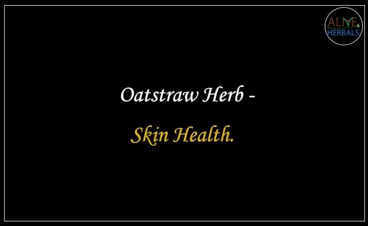 Oatstraw Herb - Buy from the online herbal store