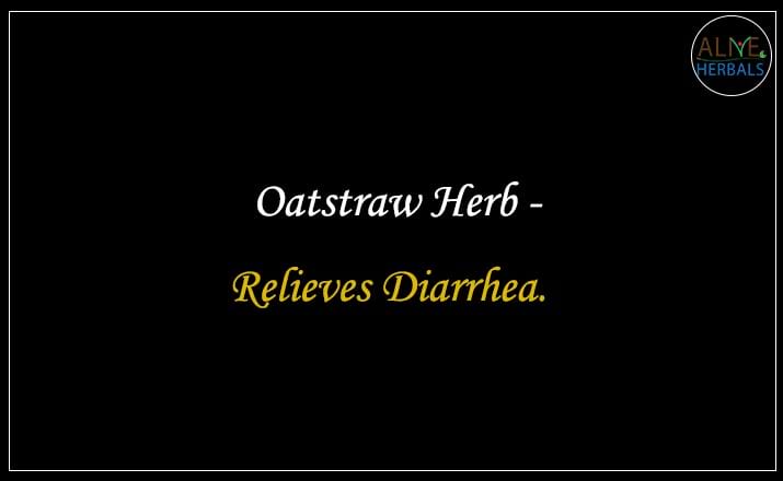 Oatstraw Herb - Buy from the natural health food store