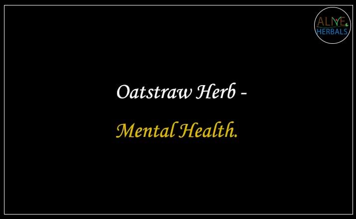 Oatstraw Herb - Buy from the natural herb store