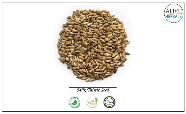 Milk Thistle Seed - Buy from the health food store