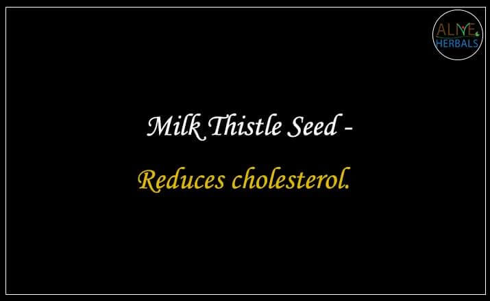 Milk Thistle Seed - Buy from the natural health food store