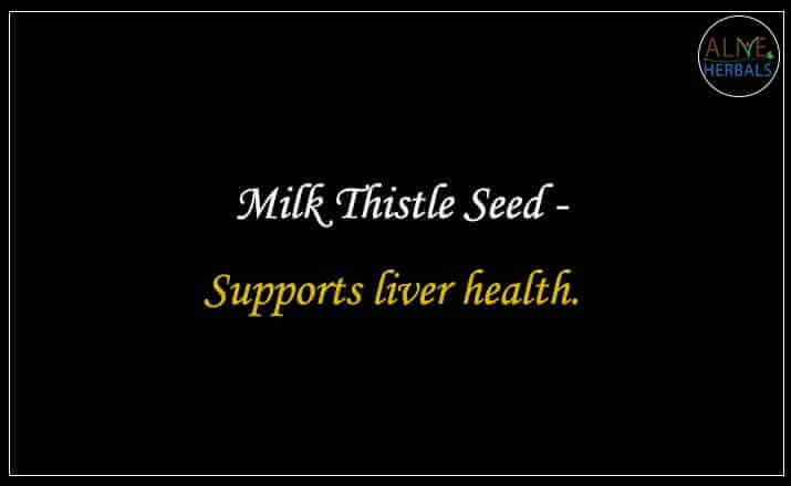 Milk Thistle Seed - Buy from the natural herb store