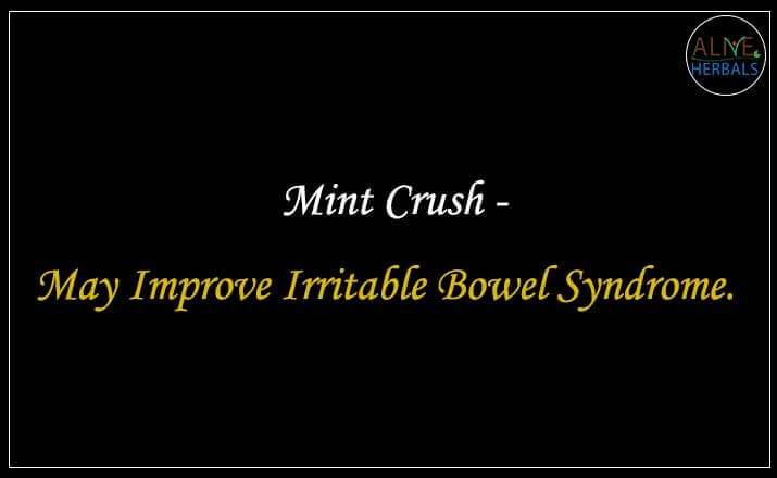 Mint Crush - Buy from the online herbal store