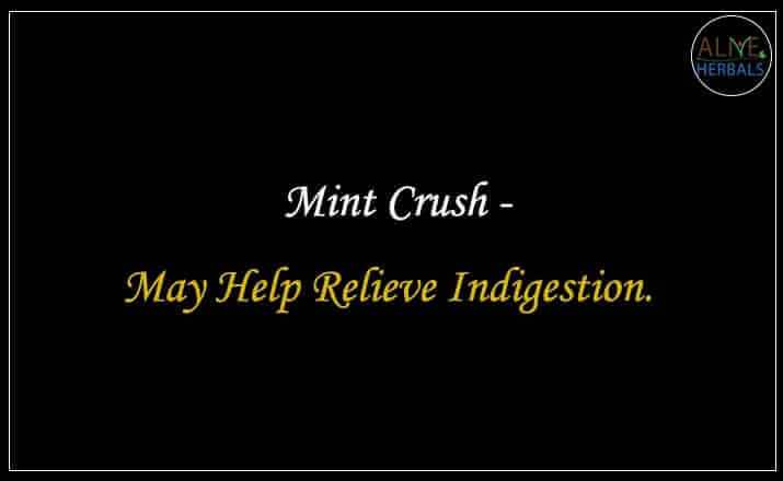Mint Crush - Buy from the natural health food store