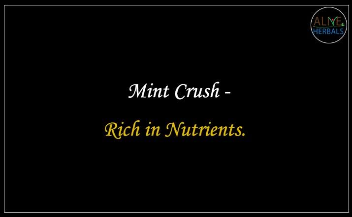 Mint Crush - Buy from the natural herb store