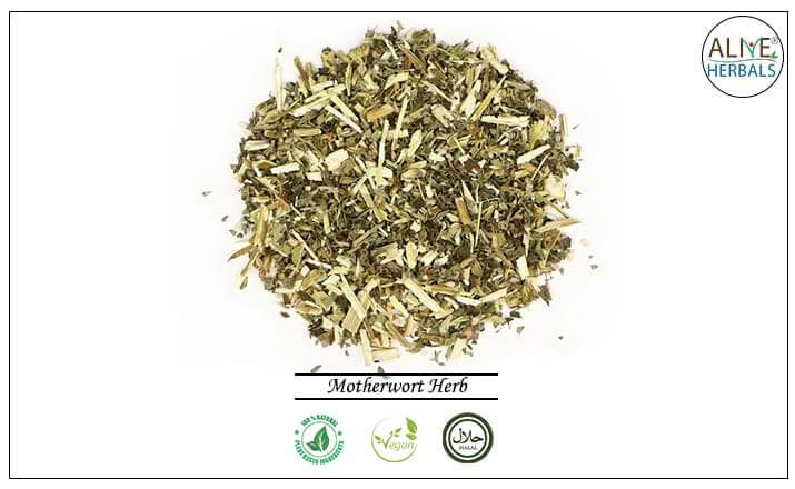 Motherwort Herb