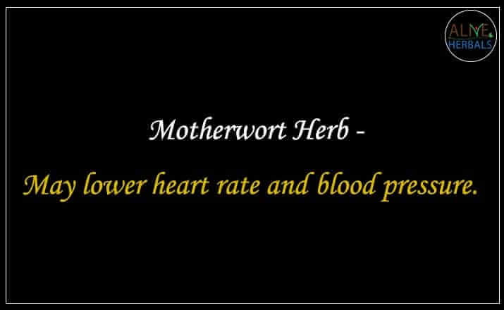 Motherwort Herb - Buy from the online herbal store