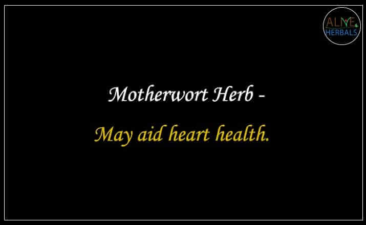 Motherwort Herb - Buy from the natural health food store