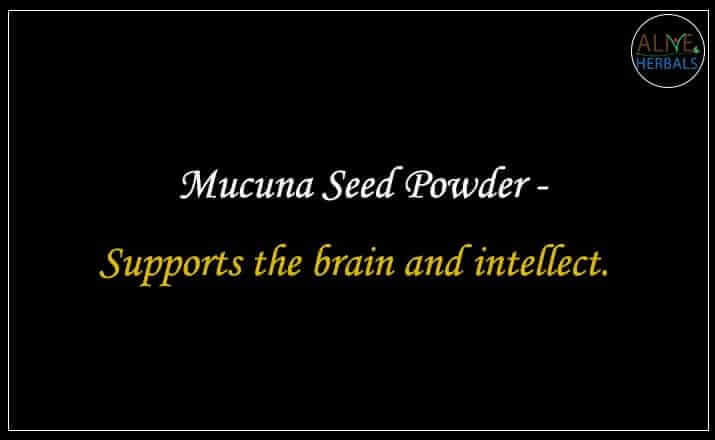 Mucuna Seed Powder - Buy from the online herbal store