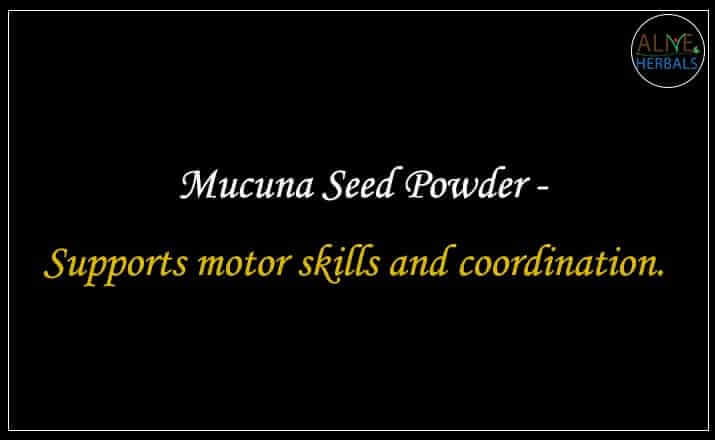 Mucuna Seed Powder - Buy from the natural health food store