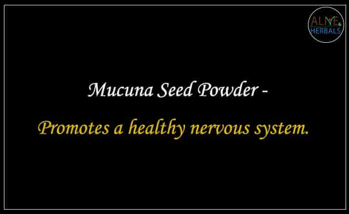 Mucuna Seed Powder- Buy from the natural herb store
