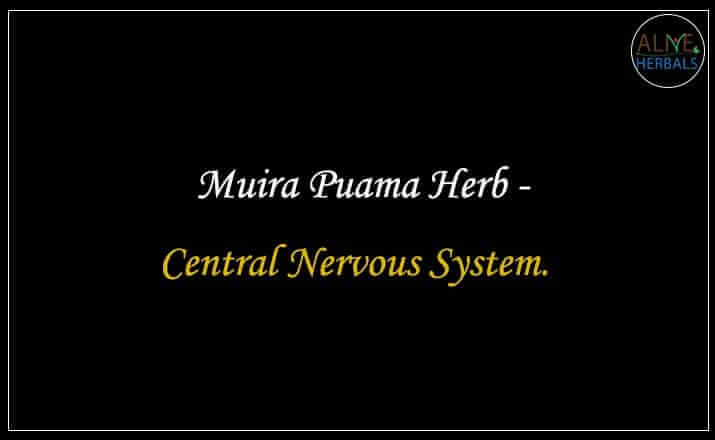 Muira Puama Herb - Buy from the online herbal store