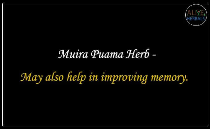 Muira Puama Herb - Buy from the natural health food store