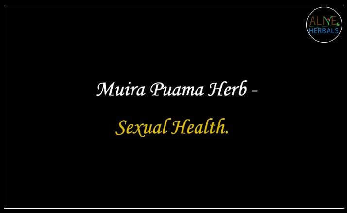 Muira Puama Herb - Buy from the natural herb store