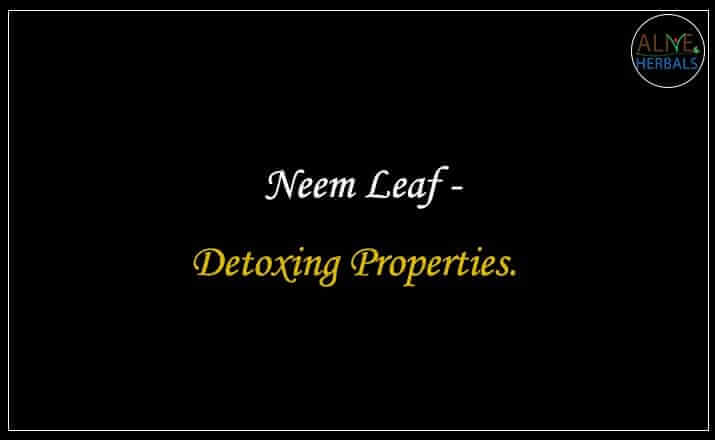 Neem Leaf - Buy from the online herbal store