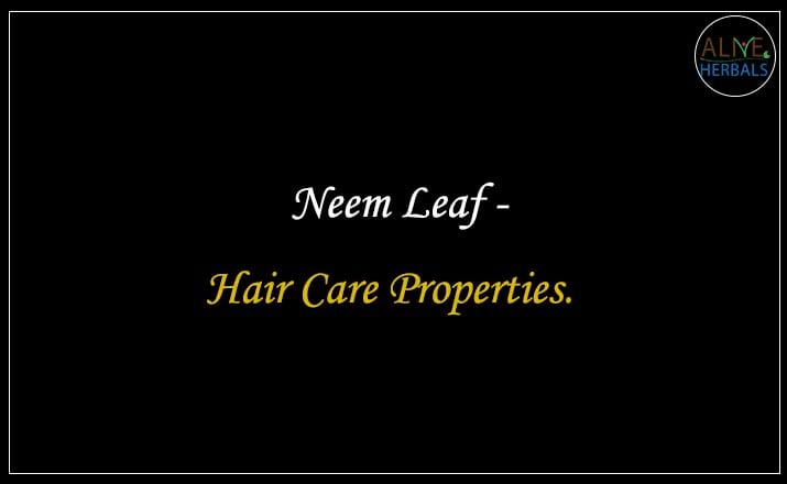 Neem Leaf - Buy from the natural health food store