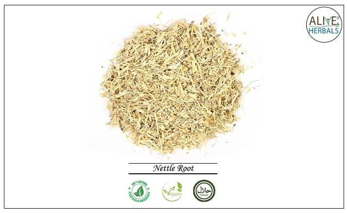 Nettle Root - Buy from the health food store